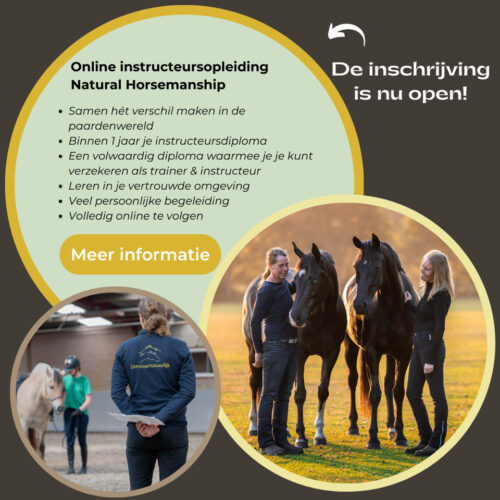 Copy of eBook Marketing Template For Social Media (86)